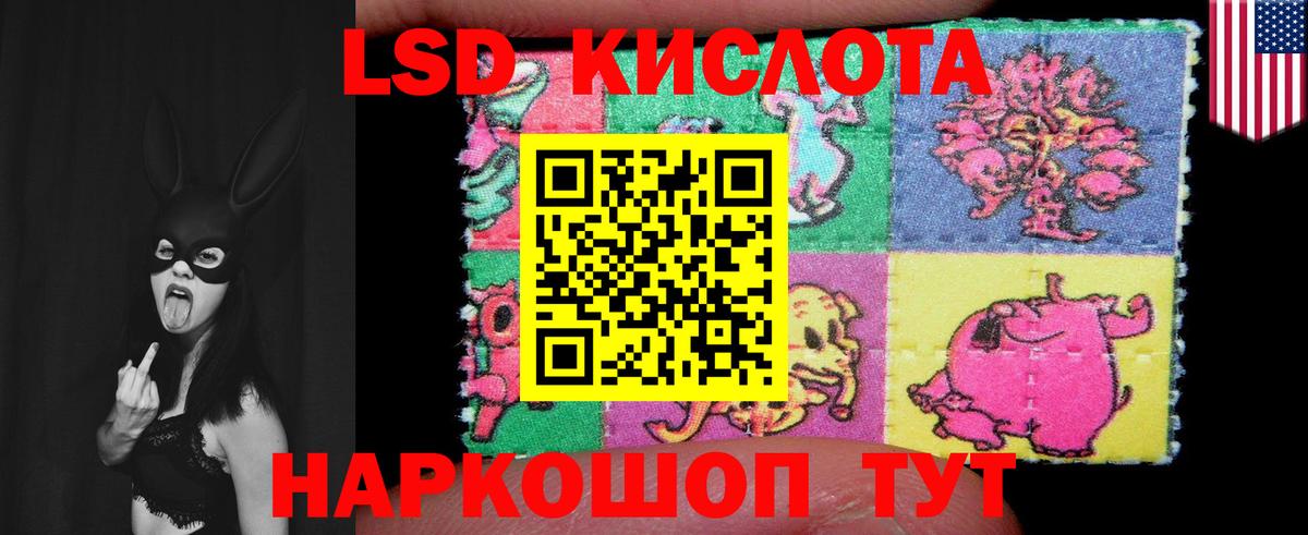 ЛСД экстази кислота  Вход с VPN  Новочебоксарск  ЛСД экстази кислота 