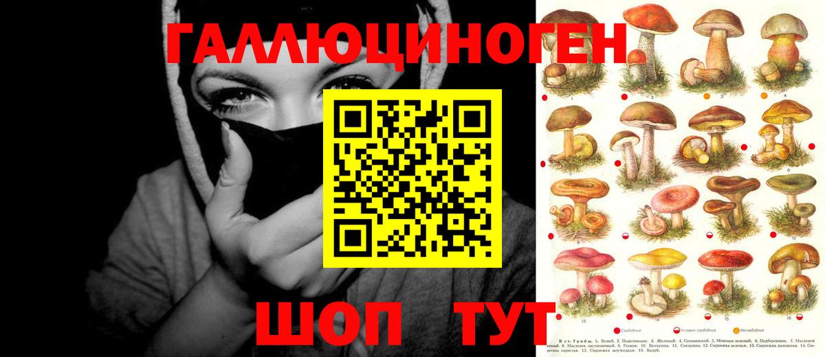 Новочебоксарск  Псилоцибиновые грибы прущие грибы  как найти   Псилоцибиновые грибы ЛСД  Вход с VPN 