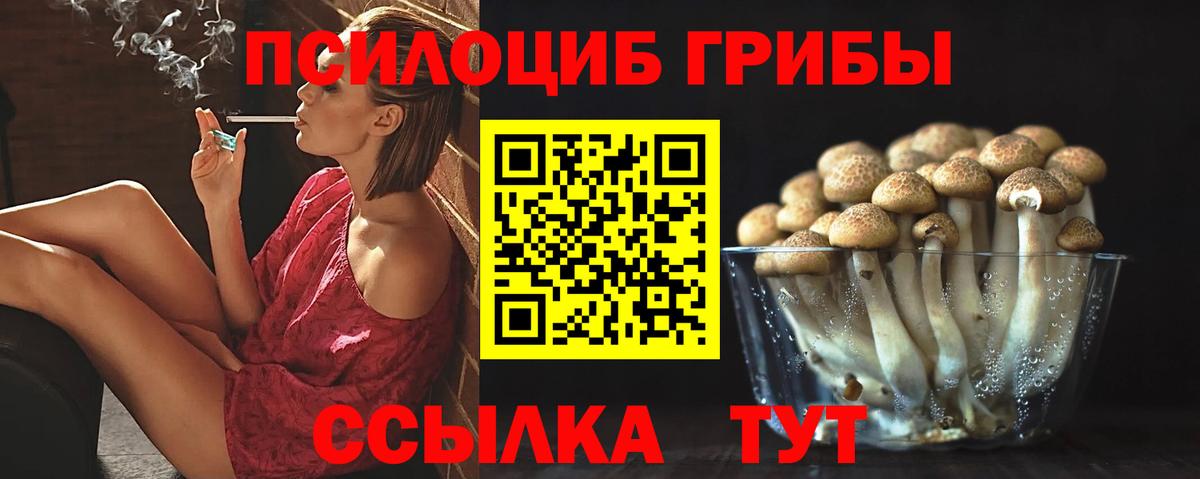 Галлюциногенные грибы Psilocybine cubensis Новочебоксарск